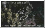 Simulations2.4.0 (2000)