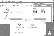 Swivel 3D 1.1 (1988)