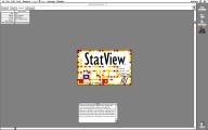 StatView 5 (2002)