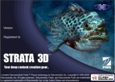 Strata 3D (2000)