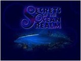 PBS Secrets of the Ocean Realm screensaver (1999)