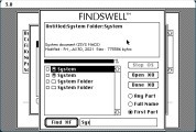 Findswell (1988)