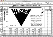 Wingz (1989)