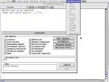 Meridian Mac Ada 4.1 (1991)