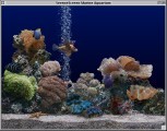 Marine Aquarium 2 (2003)