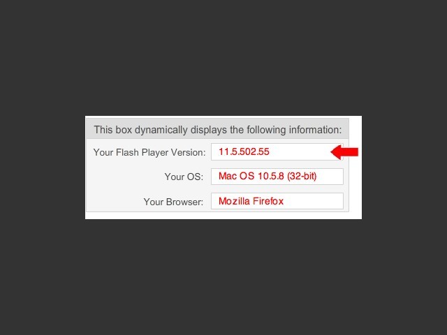 Hacked Flash for PowerPC (2011)