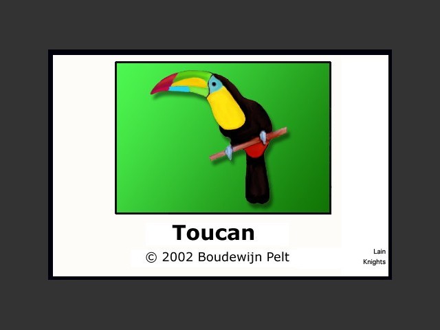 Toucan (2002)