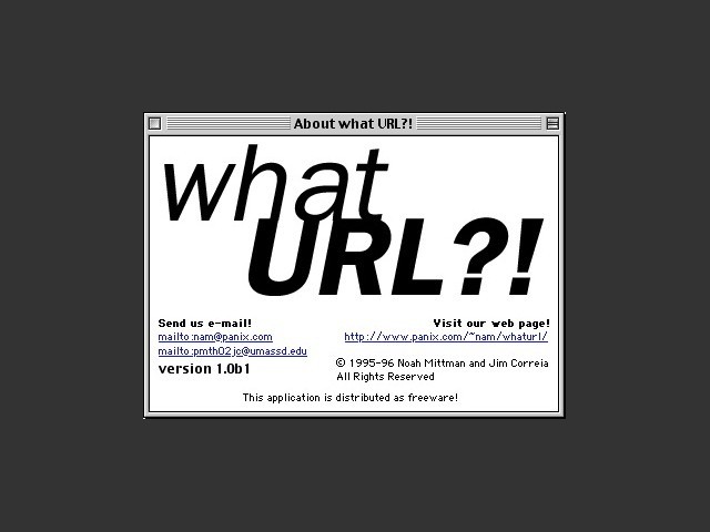 what URL?! (1995)