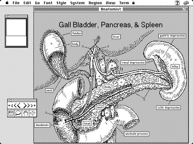 Anatomist (1992)