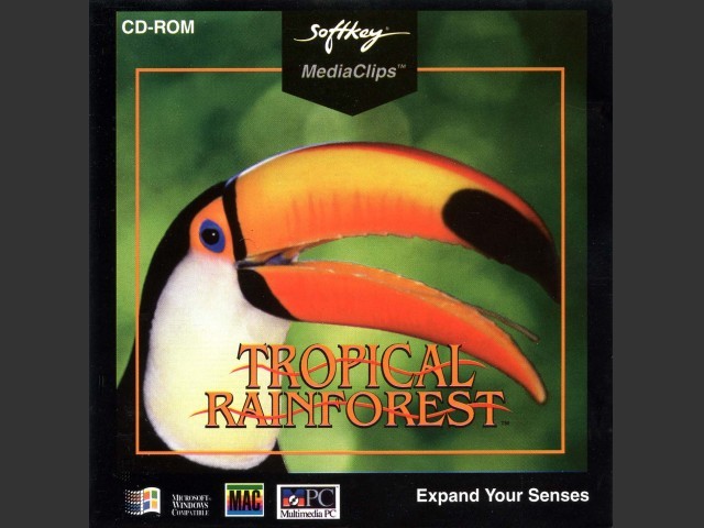 Tropical Rainforest (1994)