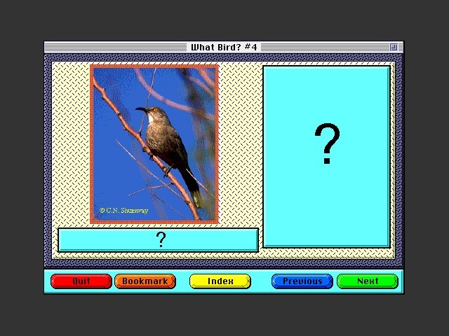 What Bird 4 (1995)