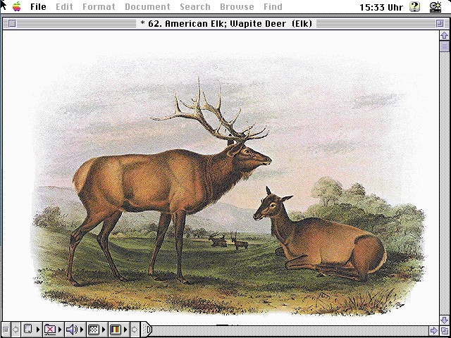 Multimedia Audubon's Mammals (1990)