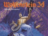 Wolfenstein 3D: Second Encounter (1994)