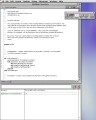 Script Debugger 1.0 (1995)