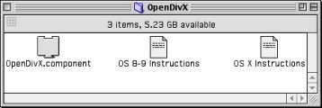 OpenDivX Codec (2001)
