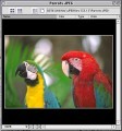 ImageViewer 5.1 (1997)