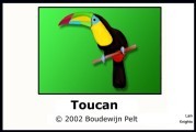 Toucan (2002)
