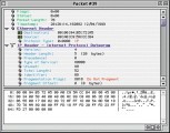 EtherPeek 4.0.1 (1999)