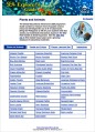 SEA Explorer's Guide (2003)