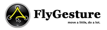 FlyGesture (2005)