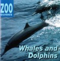 Whales and Dolphins (1993)