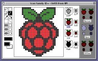 Raspberry Pi Icon (0)
