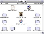 Tricks of the Mac Game Programming Gurus (1995)