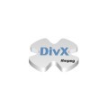 ffmpeg DivX 2.1 (2002)
