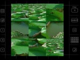 Moving Puzzle - Jungle World (1997)