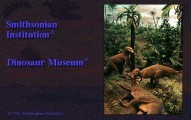 Dinosaur Museum (2.0) (1994)