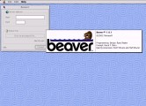 Beaver (2002)