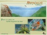 PBS Madagascar screensaver (2000)