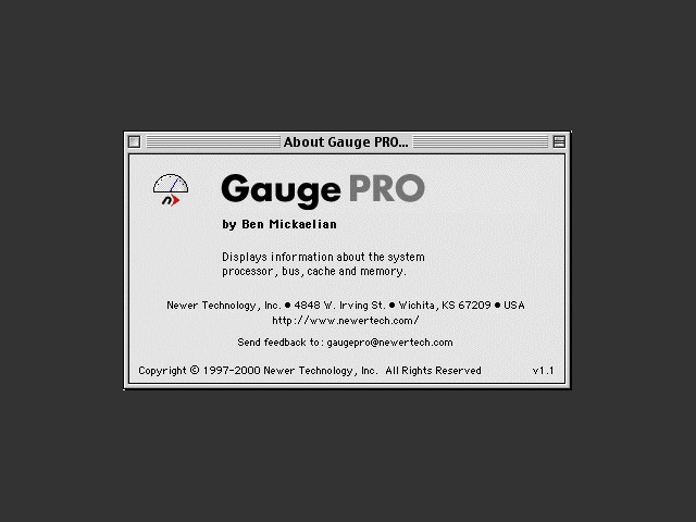 Gauge Pro (2000)