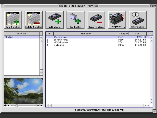 Seagull Video Player (2005)