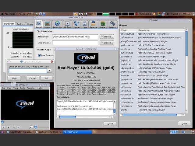 RealPlayer 10 (2004)