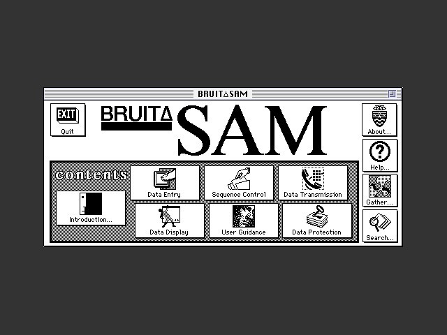 BRUIT SAM (1991)