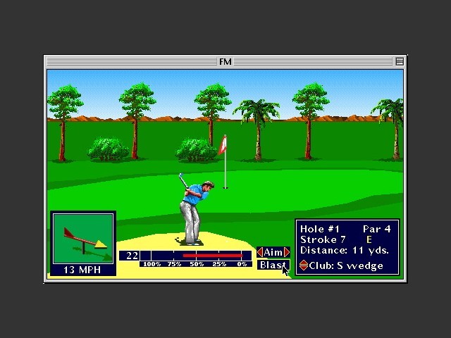 PGA Tour Golf (1991)