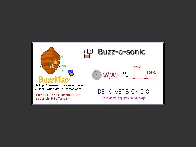 Buzz-o-sonic (Demo) (1998)