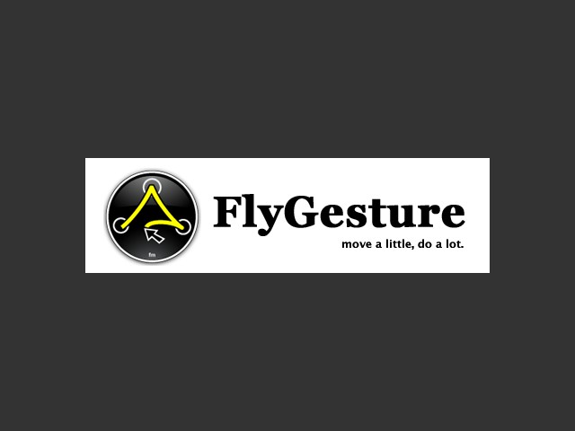 FlyGesture (2005)