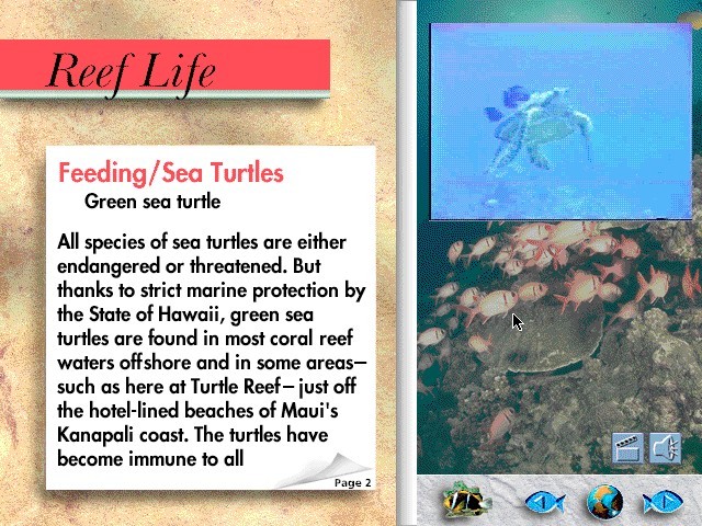 Ocean Life Volume 3: Hawaiian Islands (1994)