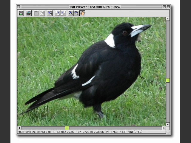 Exif Viewer 1.1.2E (2000)