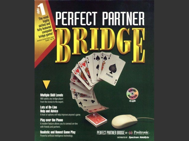 Perfect Partner Bridge (1995)