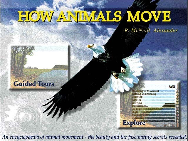 Animals on the Move (1998)